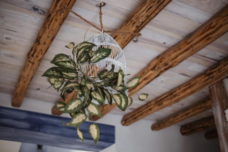 Vivienda Rural Del Salado Villa Jaén Kültér fotó